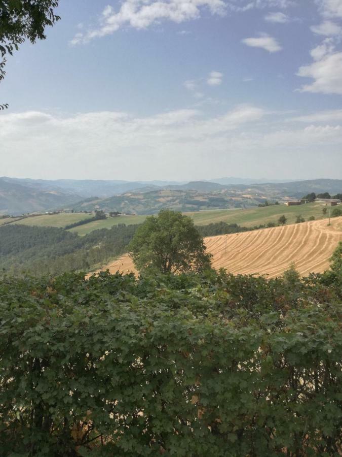 La Furbera B&B Marano sul Panaro Buitenkant foto
